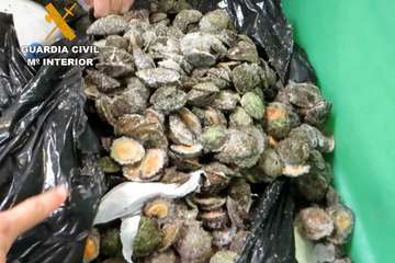 Intervención de agentes del Seprona de la Guardia Civil/TA.